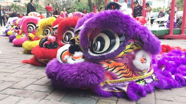 �_������2018һ���l(f��)��